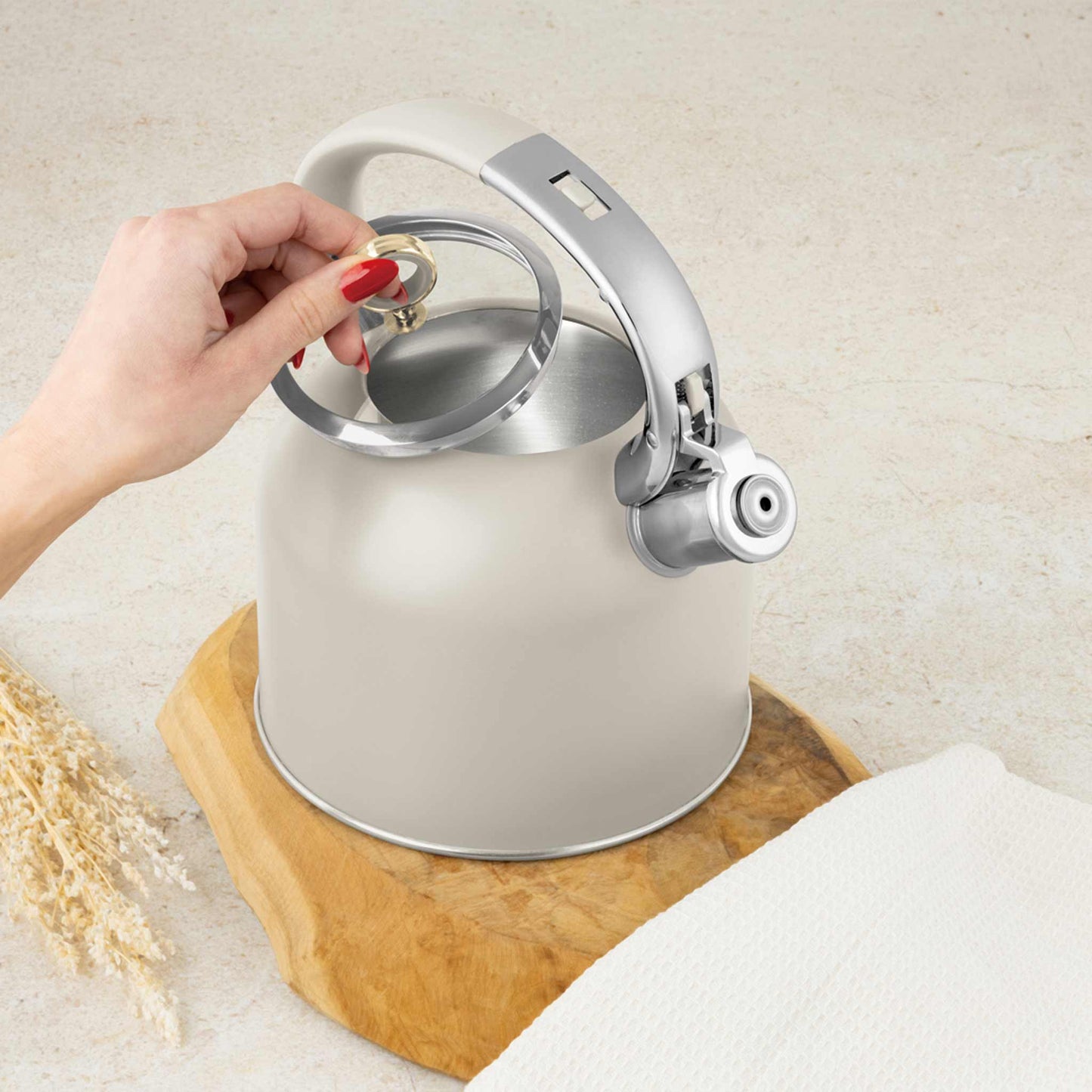 Hervidor Con Tapa De Cristal De 3,0 L, Apto Para Inducción.