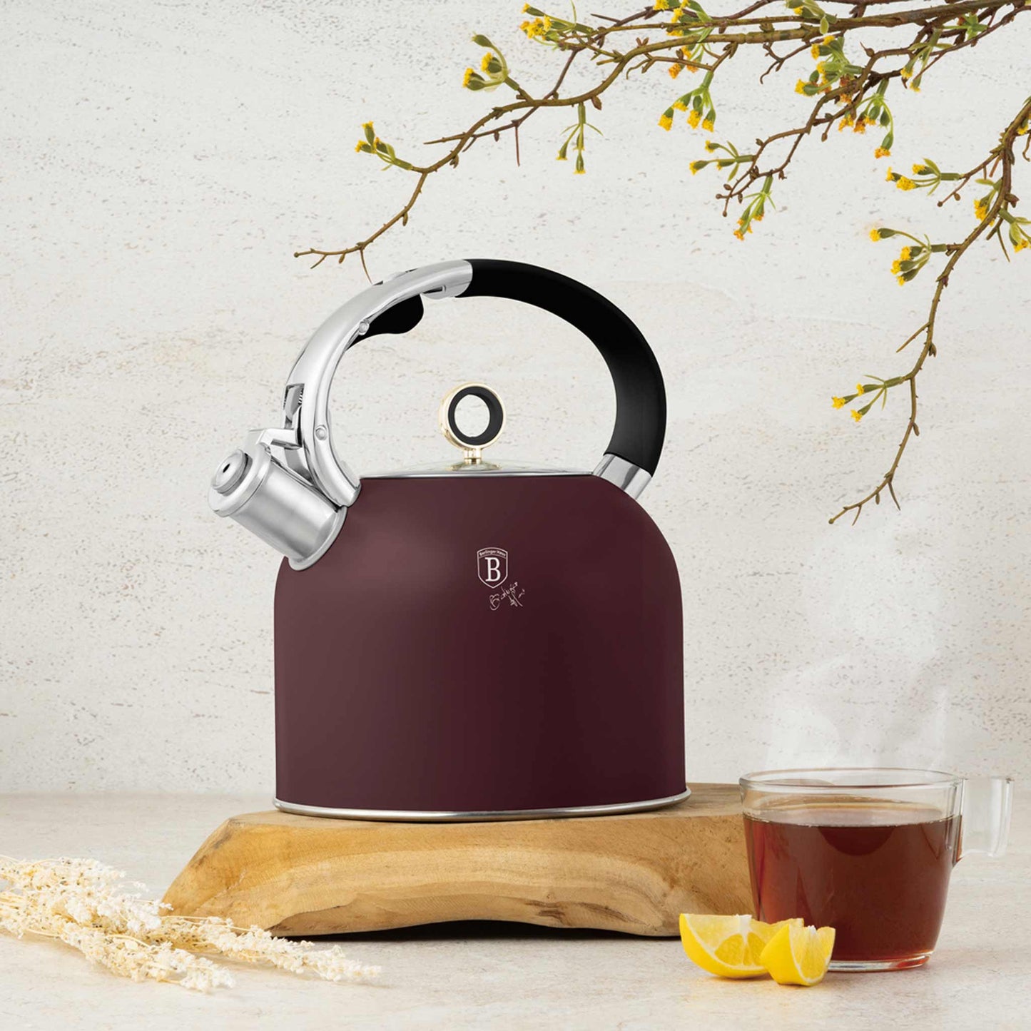 Hervidor Con Tapa De Cristal De 3,0 L, Apto Para Inducción.