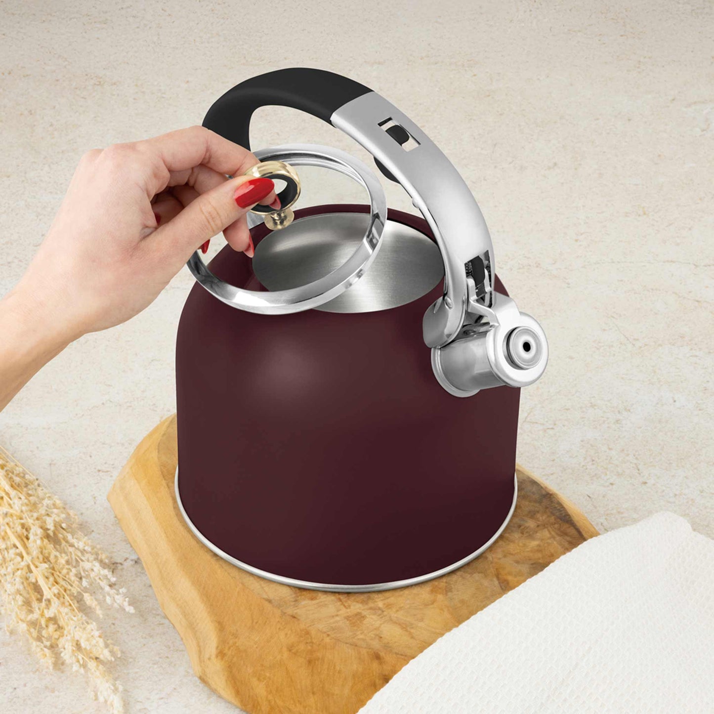 Hervidor Con Tapa De Cristal De 3,0 L, Apto Para Inducción.